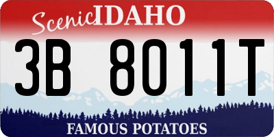 ID license plate 3B8011T