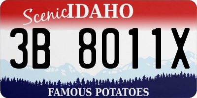 ID license plate 3B8011X