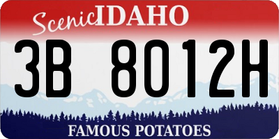 ID license plate 3B8012H