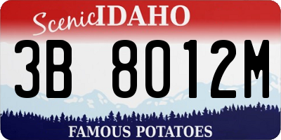 ID license plate 3B8012M