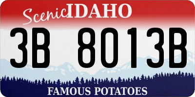 ID license plate 3B8013B