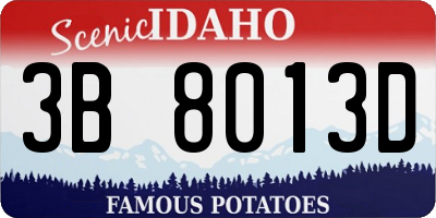 ID license plate 3B8013D