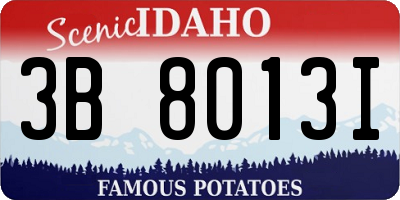 ID license plate 3B8013I