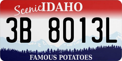 ID license plate 3B8013L