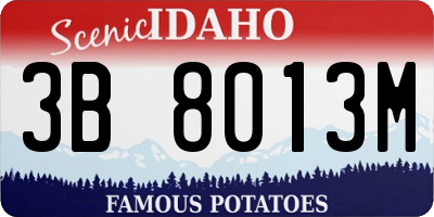 ID license plate 3B8013M