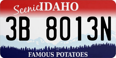 ID license plate 3B8013N