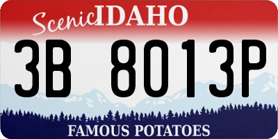 ID license plate 3B8013P