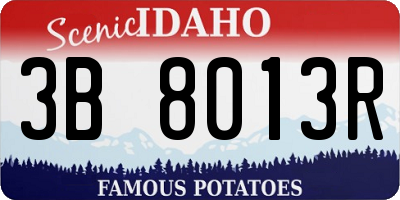 ID license plate 3B8013R
