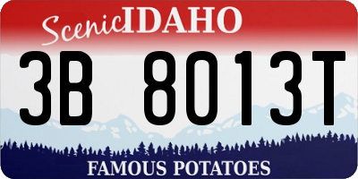 ID license plate 3B8013T