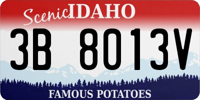 ID license plate 3B8013V