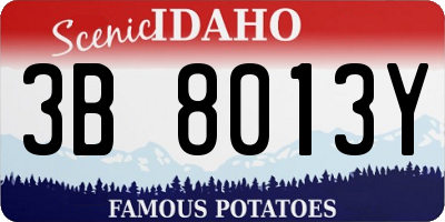 ID license plate 3B8013Y