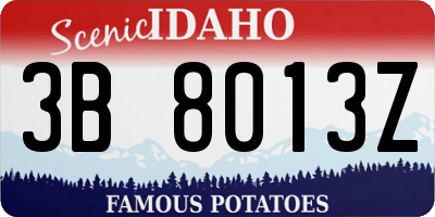 ID license plate 3B8013Z