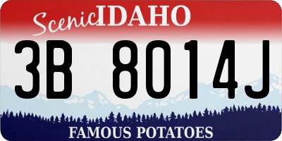 ID license plate 3B8014J