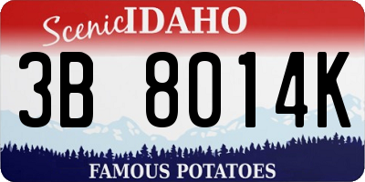 ID license plate 3B8014K