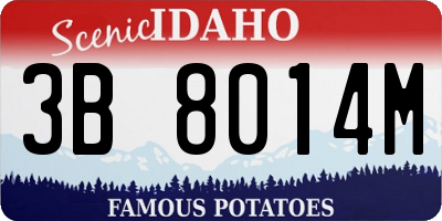 ID license plate 3B8014M