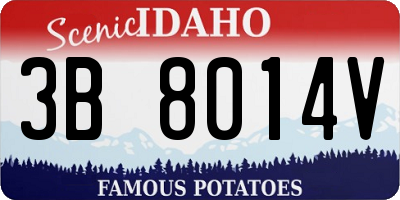 ID license plate 3B8014V