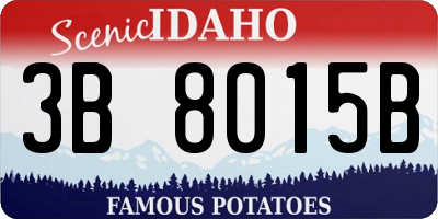 ID license plate 3B8015B