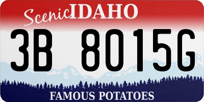 ID license plate 3B8015G