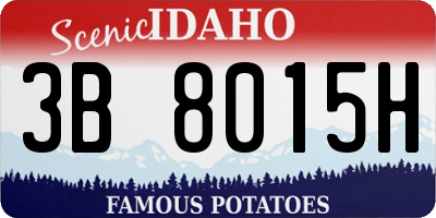 ID license plate 3B8015H