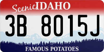 ID license plate 3B8015J