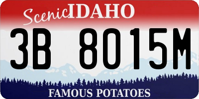 ID license plate 3B8015M