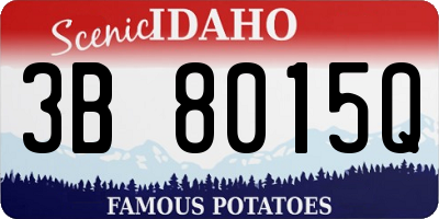 ID license plate 3B8015Q