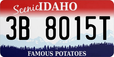 ID license plate 3B8015T