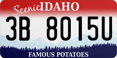 ID license plate 3B8015U