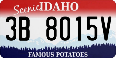 ID license plate 3B8015V