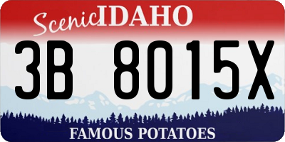 ID license plate 3B8015X