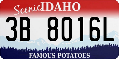 ID license plate 3B8016L