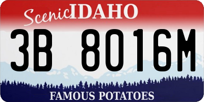 ID license plate 3B8016M