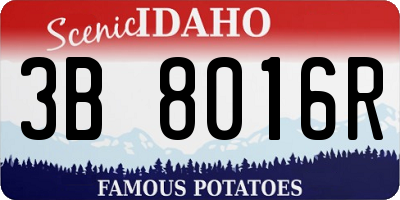 ID license plate 3B8016R