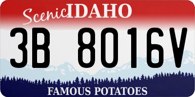 ID license plate 3B8016V