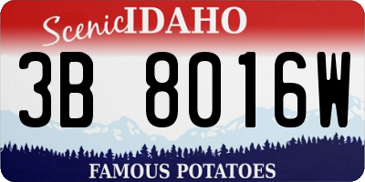 ID license plate 3B8016W