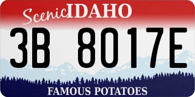 ID license plate 3B8017E