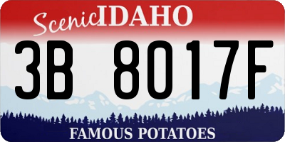 ID license plate 3B8017F
