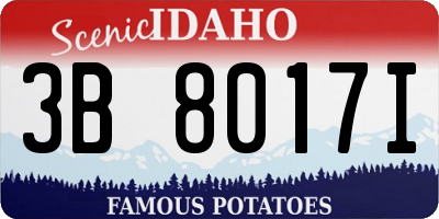 ID license plate 3B8017I