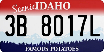 ID license plate 3B8017L