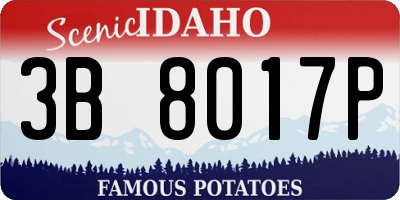 ID license plate 3B8017P