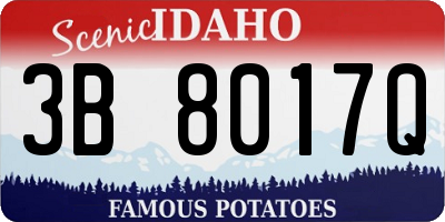 ID license plate 3B8017Q