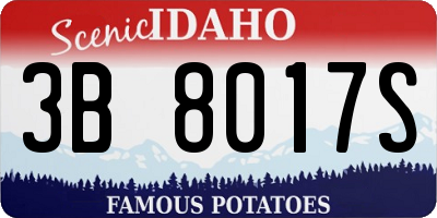 ID license plate 3B8017S