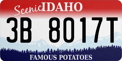 ID license plate 3B8017T