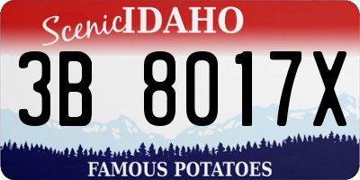 ID license plate 3B8017X
