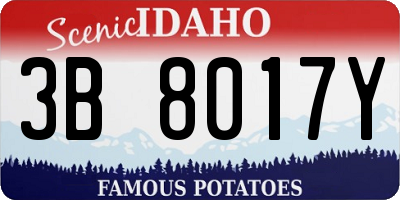 ID license plate 3B8017Y