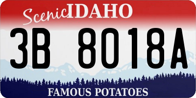 ID license plate 3B8018A