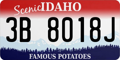 ID license plate 3B8018J