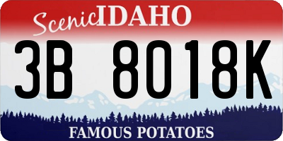 ID license plate 3B8018K