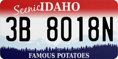 ID license plate 3B8018N