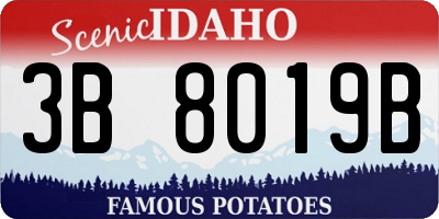 ID license plate 3B8019B